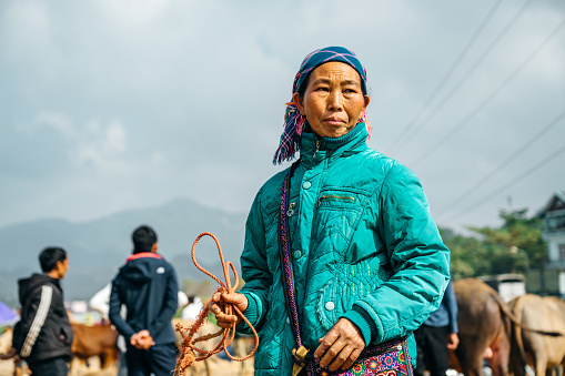 Woman selling cattle at the popular Sunday market in Bac Ha, Vietnam. \nBac Ha is in Lao Cai Province in northern Vietnam.\nThe Hmong are a ethnic tribal group that live in the mountainous areas of Vietnam, China, Laos and Thailand. The tribe is famous for their colourful cloth and clothing.