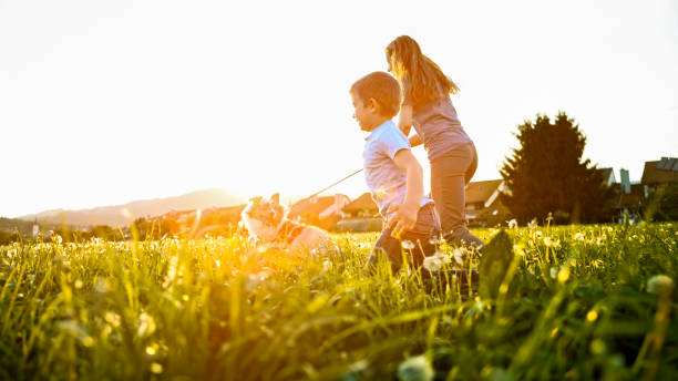 madre, giocando con il figlio - field dog pets green foto e immagini stock