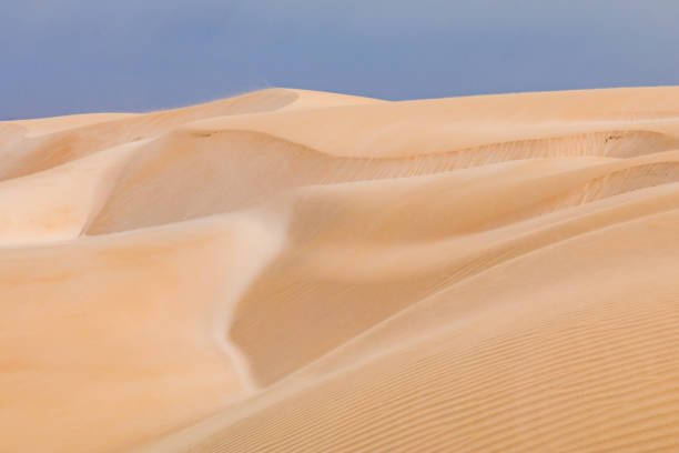 dunas de arena en el desierto de viana en la isla de boa vista en cabo verde en el océano atlántico - bizarre landscape sand blowing fotografías e imágenes de stock