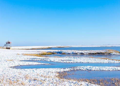 The Wadden Sea National Park near Nessmersiel in winter,  North Sea, East Frisia, Lower Saxony, Germany