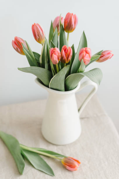istock Bouquet of delicate pink tulips in a jug. 1459600521