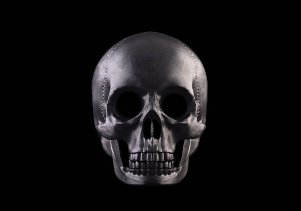 istock Human skull isolated on black background with clipping path 1459601394