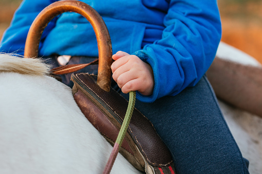 Close up view of the hand of a boy with cerebral palsy holding on to the reins of a horse during an equine therapy session.