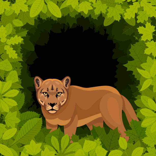 Puma in the forest. Mascot Creative Logo Design. Puma in the forest. Mascot Creative Logo Design. Puma also known as cougar or mountain lion. mountain lion tree stock illustrations