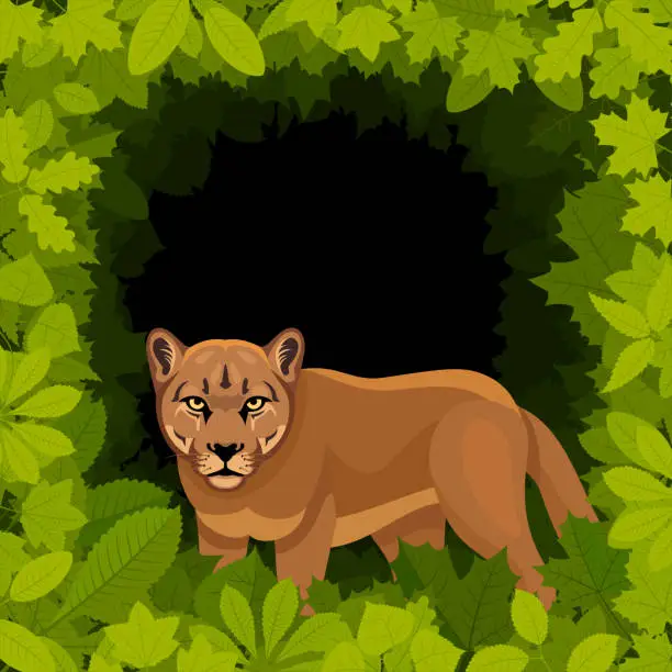 Vector illustration of Puma in the forest. Mascot Creative Logo Design.