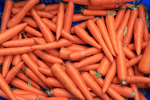 Fresh carrot bunches in open air market