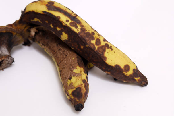 갈색 반점이있는 바나나. 흰색 배경에 격리된 검은 썩은 바나나 - banana rotting ripe above 뉴스 사진 이미지
