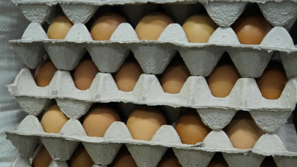 istock fresh eggs of paper tray 1459622176