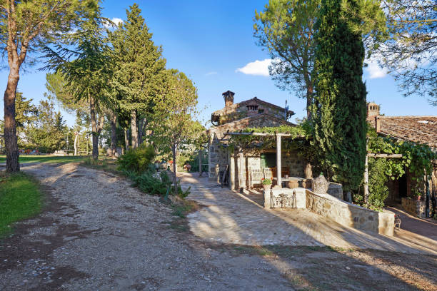 Lush trees growing by empty footpath leading towards detached houses in old town against blue sky