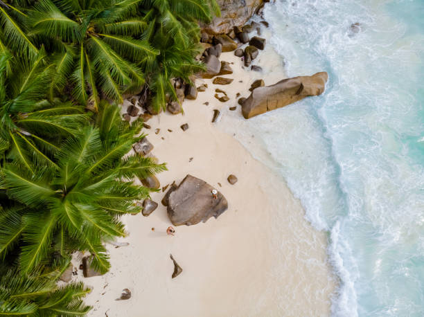 istock Drone view from above at a tropical beach in the Seychelles 1459627990