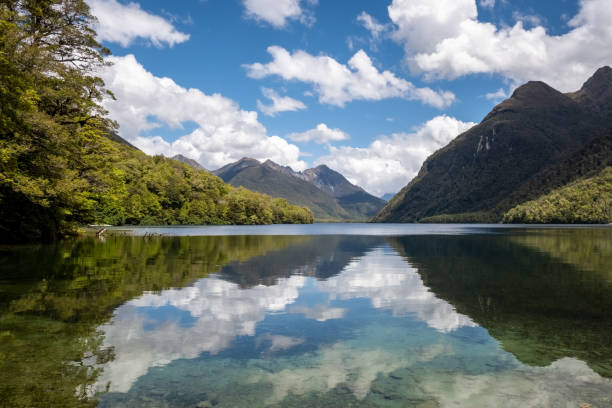 lago gunn em nova zelândia - new zealand forest landscape mountain - fotografias e filmes do acervo