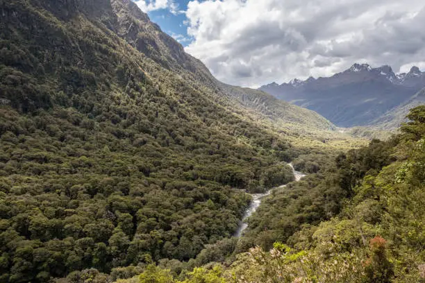 Photo of Hollyford Valley in New Zealand