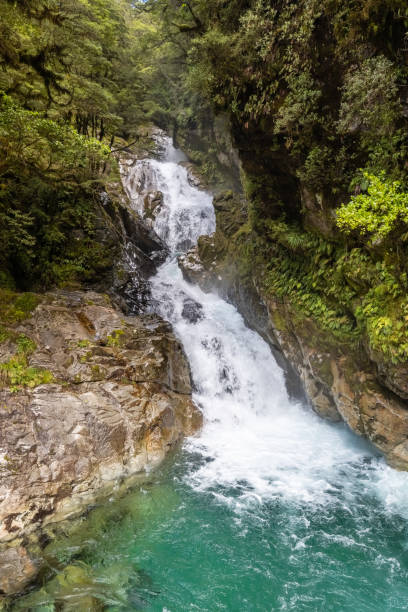 christie falls waterfall in new zealand - flowing nature new zealand uncultivated imagens e fotografias de stock