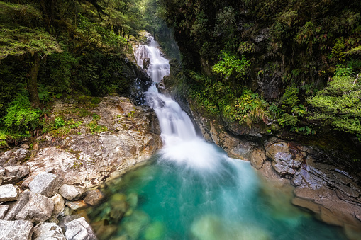 Christie Falls, a waterfall cascading through the dense rainforest near Highway 94 to Milford Sound in South Island, New Zealand