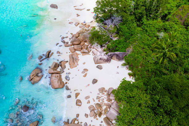 istock Drone view from above at Anse Lazio beach Praslin Island Seychelles 1459629543