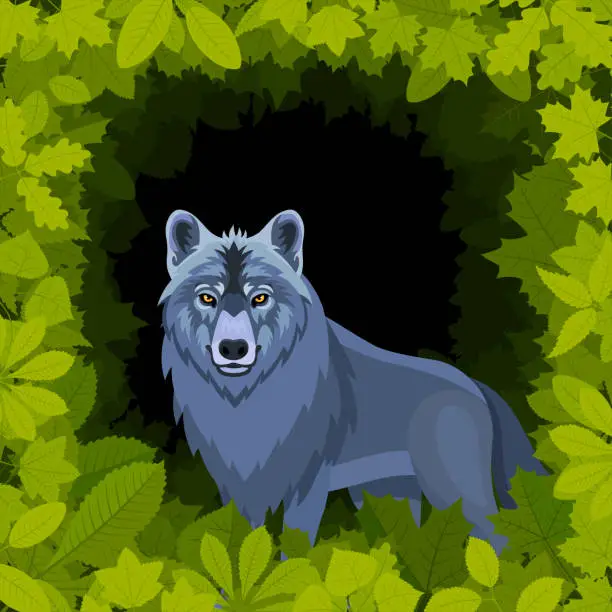 Vector illustration of Wolf in the forest. Mascot Creative Logo Design.