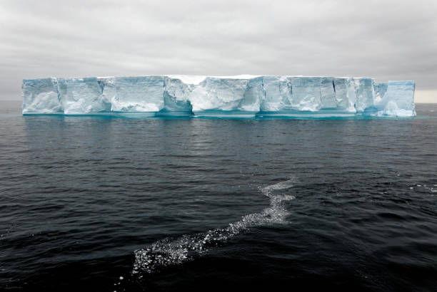 istock Antartica - Tabular Iceberg in Bransfield Strait 1459631310