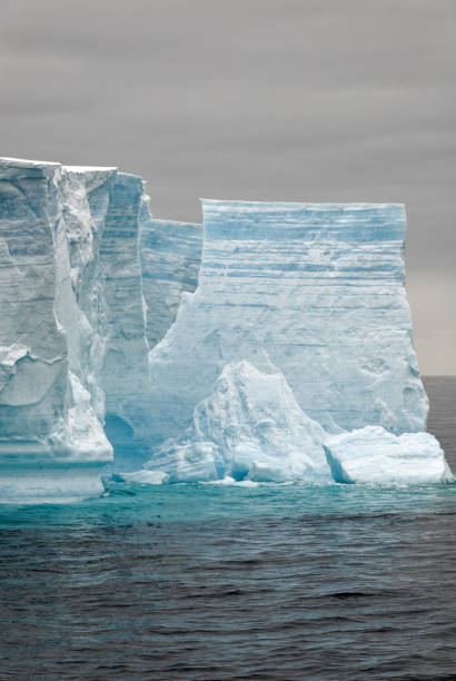 istock Antartica - Tabular Iceberg in Bransfield Strait 1459631421