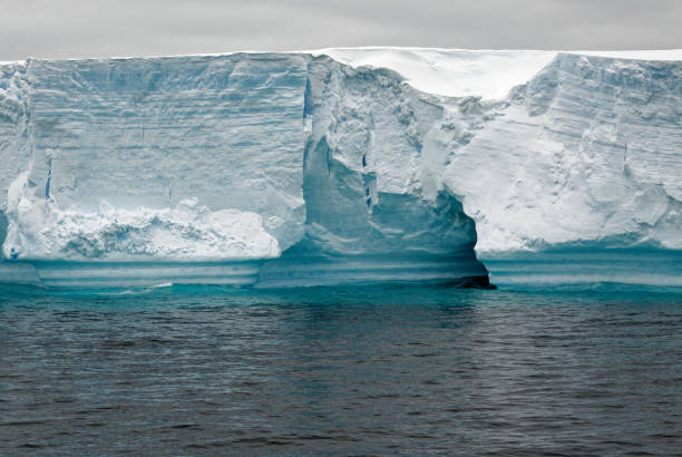 istock Antartica - Tabular Iceberg in Bransfield Strait 1459631445