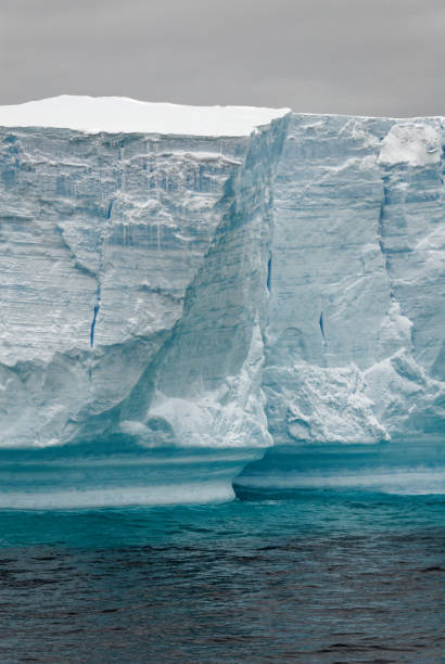 istock Antartica - Tabular Iceberg in Bransfield Strait 1459631492