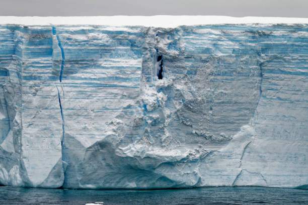 istock Antartica - Tabular Iceberg in Bransfield Strait 1459632954