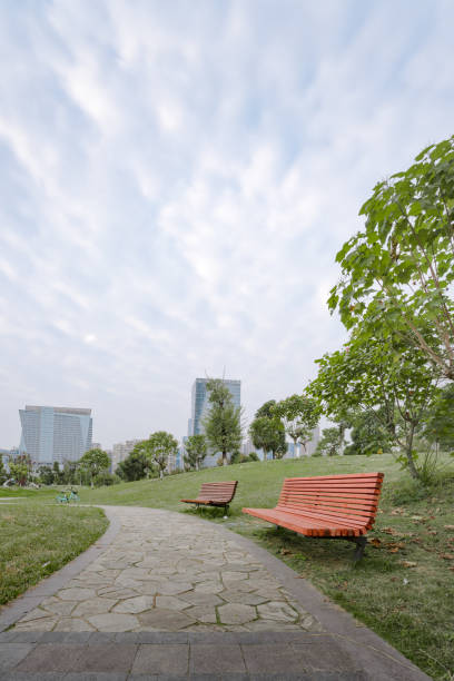 istock Modern Urban Architecture in Chengdu in Sunny Days 1459633013