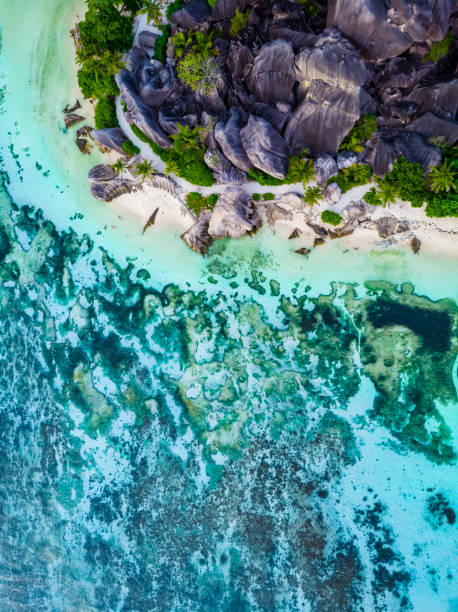 istock Drone view from above at a tropical white beach in the Seychelles, Anse Source d'Argent La Digue 1459635537