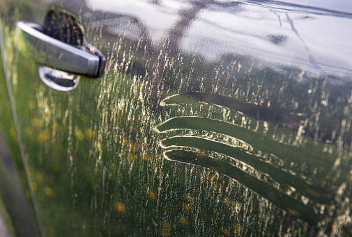 Yellow pollen grains layer on car paint. Trees and flowers pollen covering car exterior in spring, witch can damage your car's paint concept.