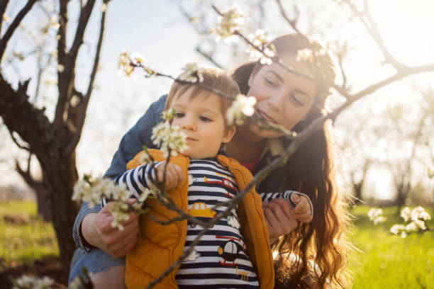 istock Mom and son in a blooming orchard in spring 1459639627