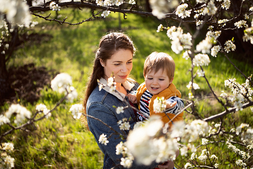 Mom and son in a blooming orchard in spring.
