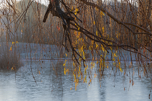 Thin West Lake in Yangzhou in spring