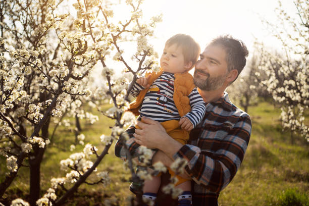 istock Father and son in a blooming orchard in spring 1459639884