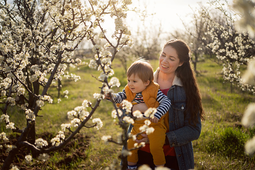 Mom and son in a blooming orchard in spring.