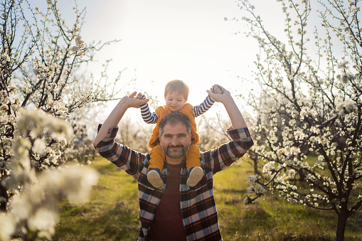 Father and son in a blooming orchard in spring.