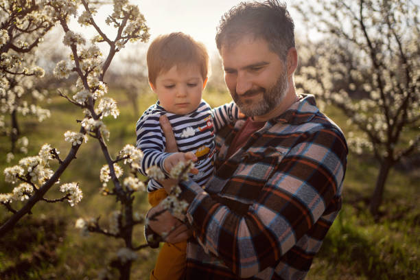 istock Father and son in a blooming orchard in spring 1459640143