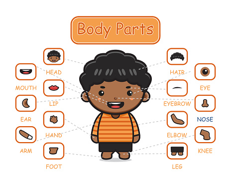 Happy cute kid boy body part anatomy cartoon icon clip art illustration. Design isolated flat cartoon style