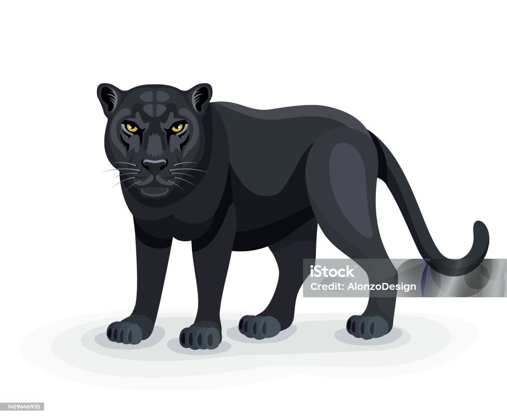 Ilustración de Personaje Salvaje De Black Panther Diseño Creativo De  Mascotas Pantera Negra Panthère Noir y más Vectores Libres de Derechos de  Animal - iStock