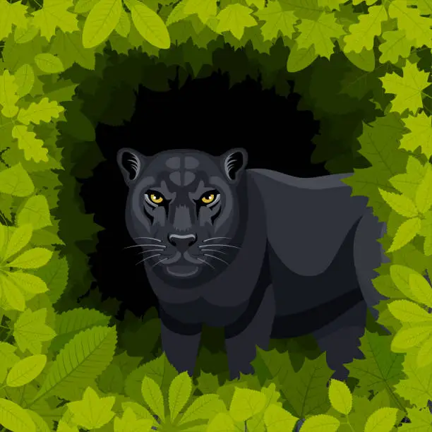 Vector illustration of Wild Black Panther in the forest. Mascot Creative Logo Design.