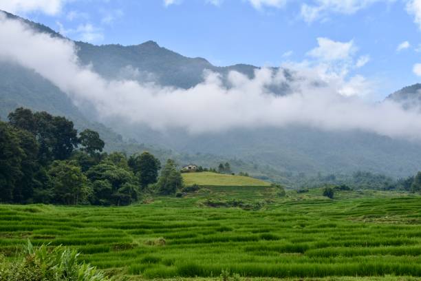 istock Hillside Rice Terraces with Low Clouds and Mountains in Sa Pa 1459650774