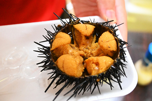Cooked sea urchins at a local seafood restaurant in Dalian, Liaoning Province, China.