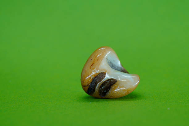 istock green background with crystal quartz crystals is a  beautiful background 1459656017