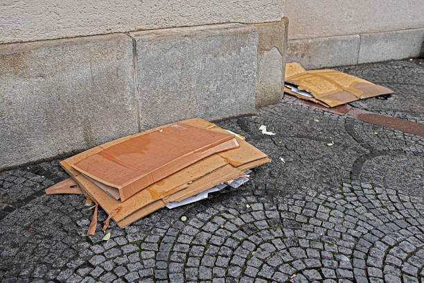 istock carelessly disposed garbage cardboard in the city 1459657028