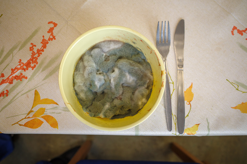 in a yellow bowl the food is completely covered with a mold