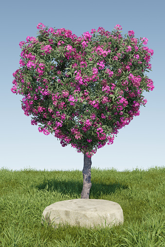 Abstact 3d render spring scene and Natural podium background, heart shape tree with pink flowers on the green grass field backdrop clear sky for product display advertising, cosmetic, skincare or etc
