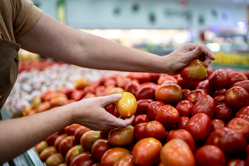 Woman's hands placing tomatoes at the supermarket