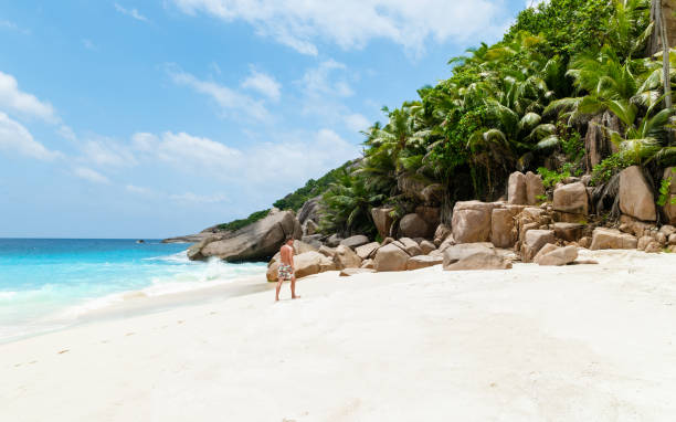 istock Young man on a white tropical beach Coco Island Tropical Seychelles Islands 1459663552