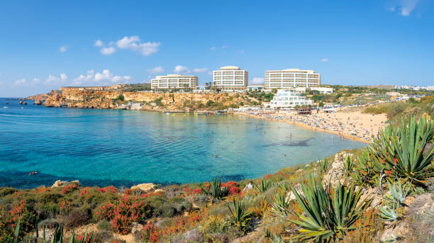 istock Landscape with Golden bay beach, Malta 1459664010