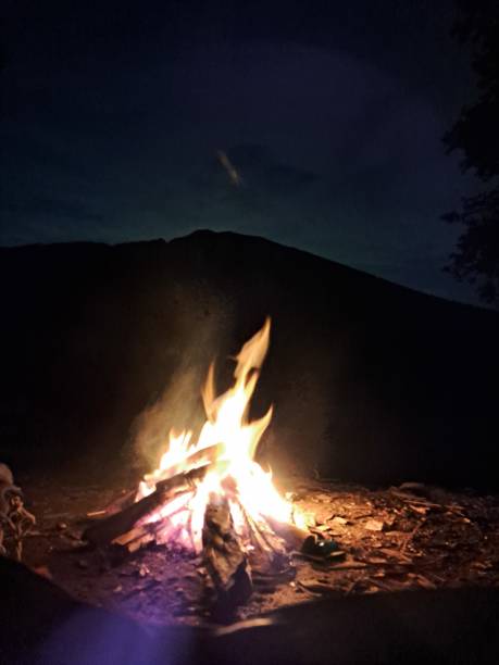 istock Campfire for camping in the forest 1459666626