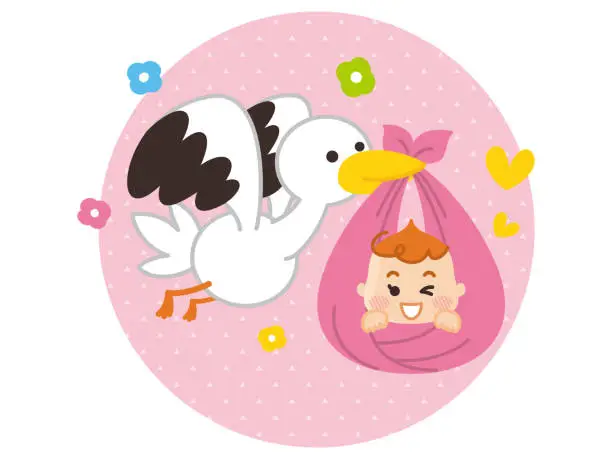 Vector illustration of A stork carrying a baby. pregnancy.