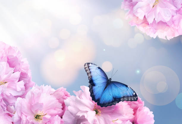istock Beautiful butterfly and tiny flowers on light blue background, bokeh effect. Awesome spring blossom 1459669163